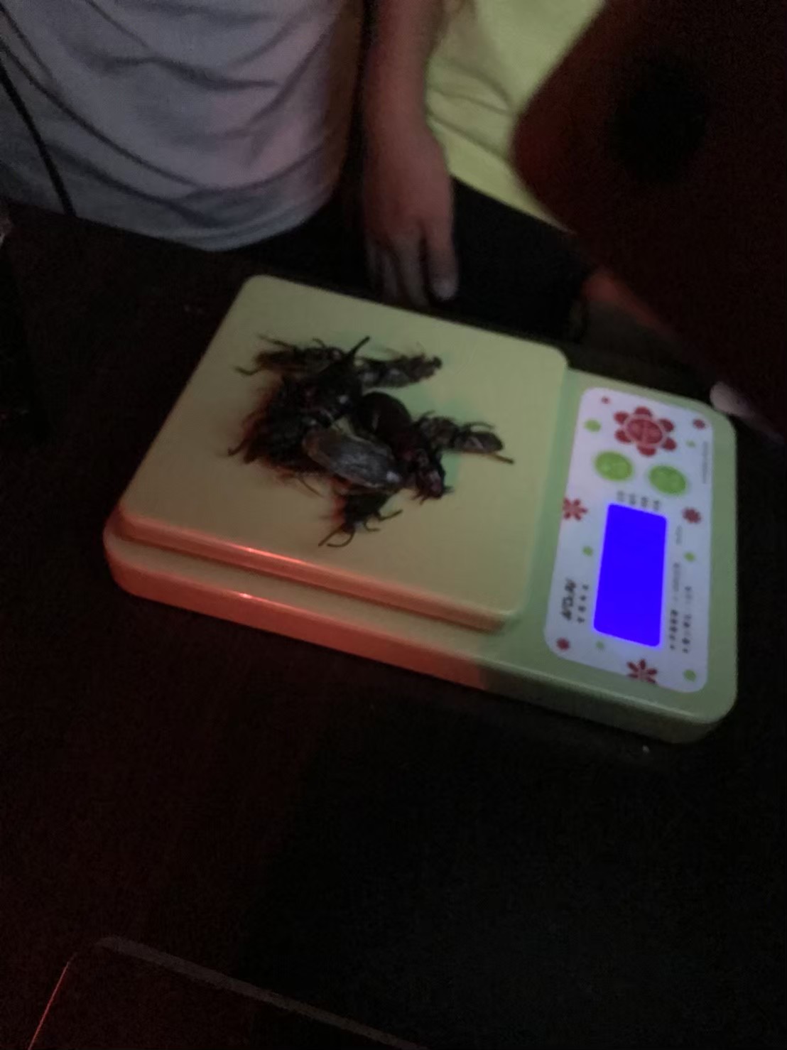 2018桌遊趣